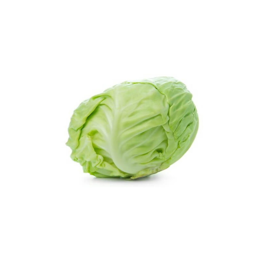 Chn Kobis Bulat 1.5kg+/
