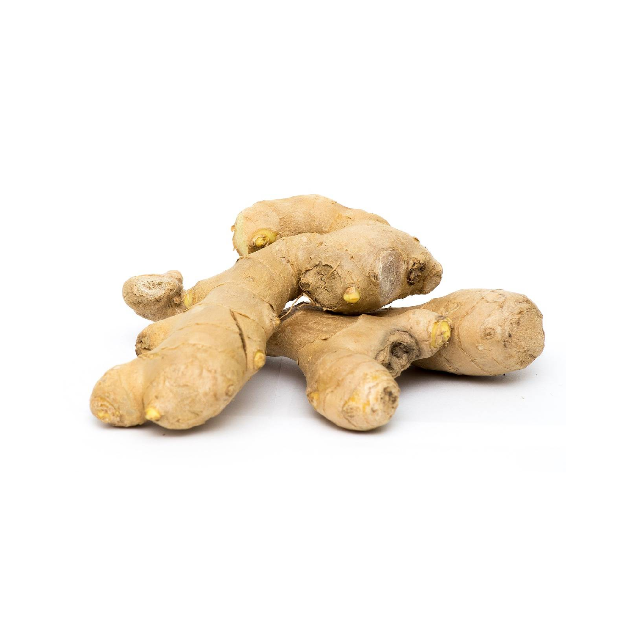 Chn Halia Tua 1kg+/