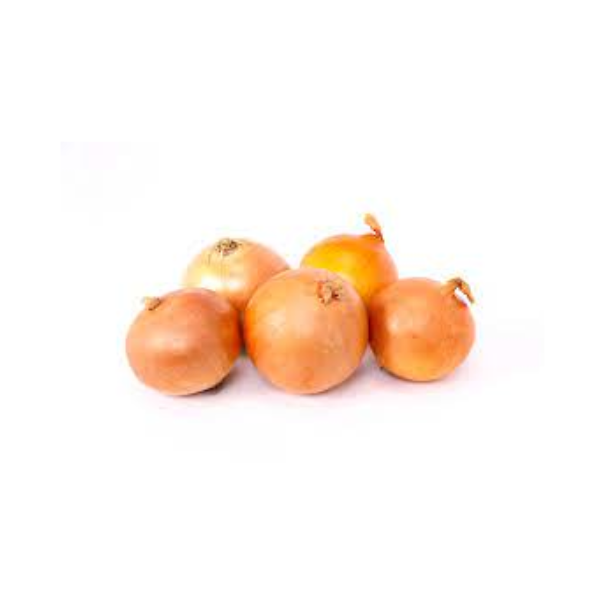 Chn Bawang Holland 1.5kg+/