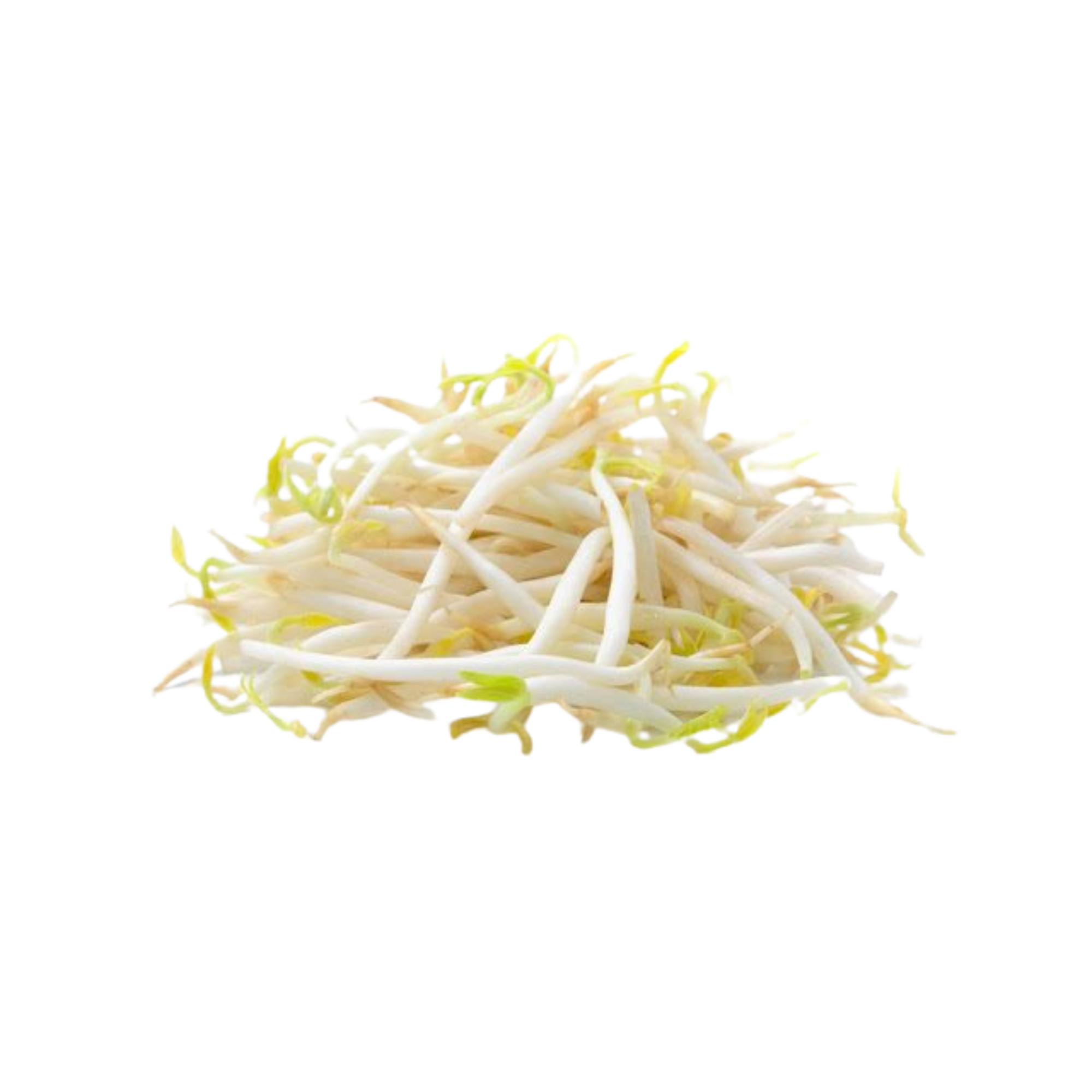 Mys Taugeh 1kg (Paket)