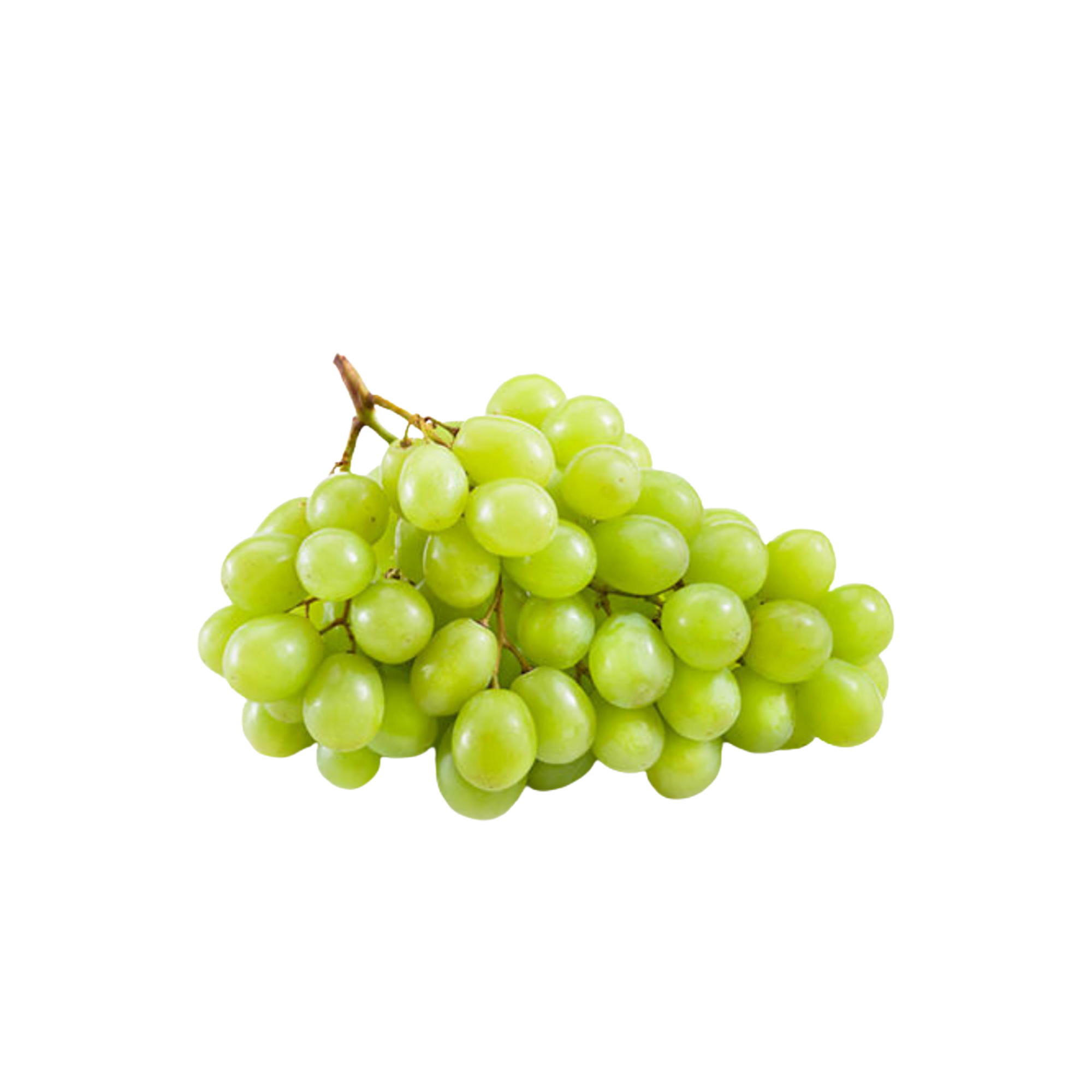 HarimauFresh
