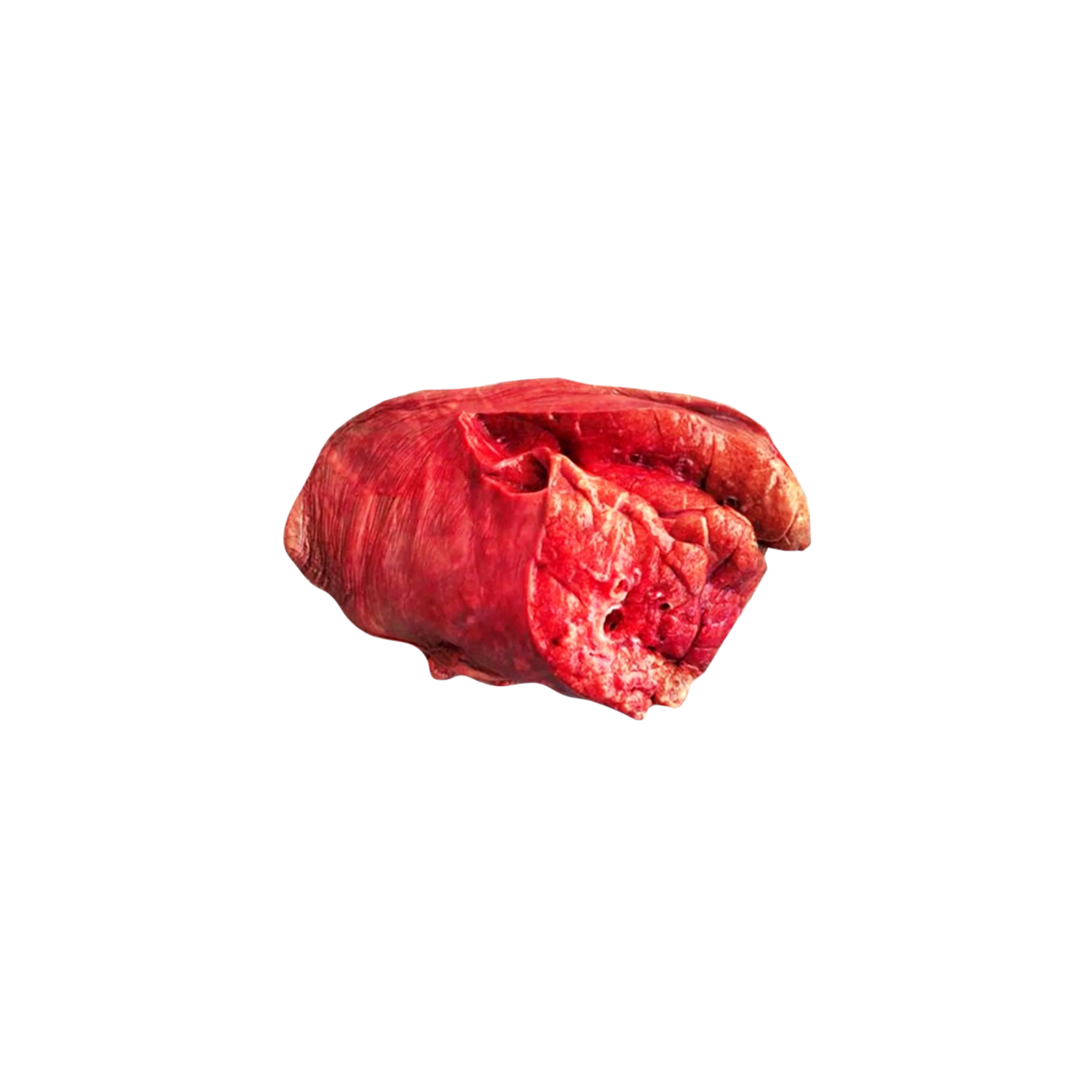 Ind Frz Buffalo Lung