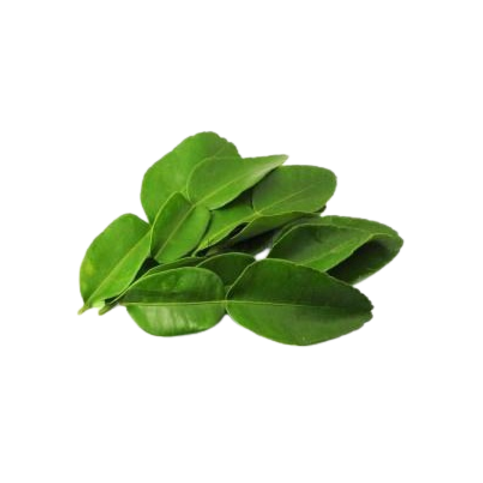 Mys Daun Limau 100g+/
