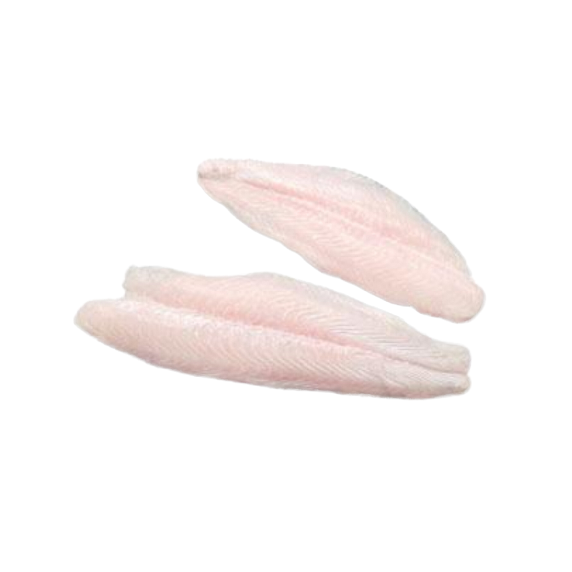 Frozen Dory Fillet Wt 1kg +/