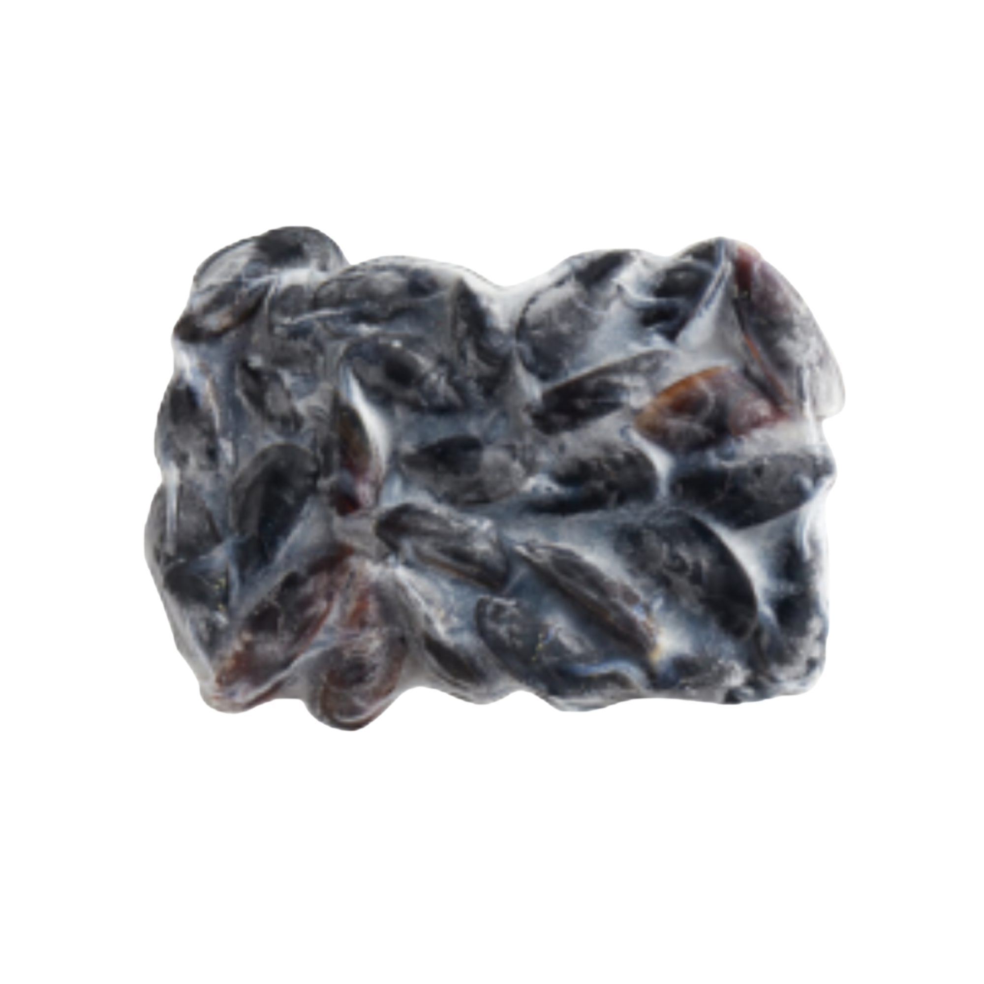 Frozen Whole Shell Mussel 1 Paket