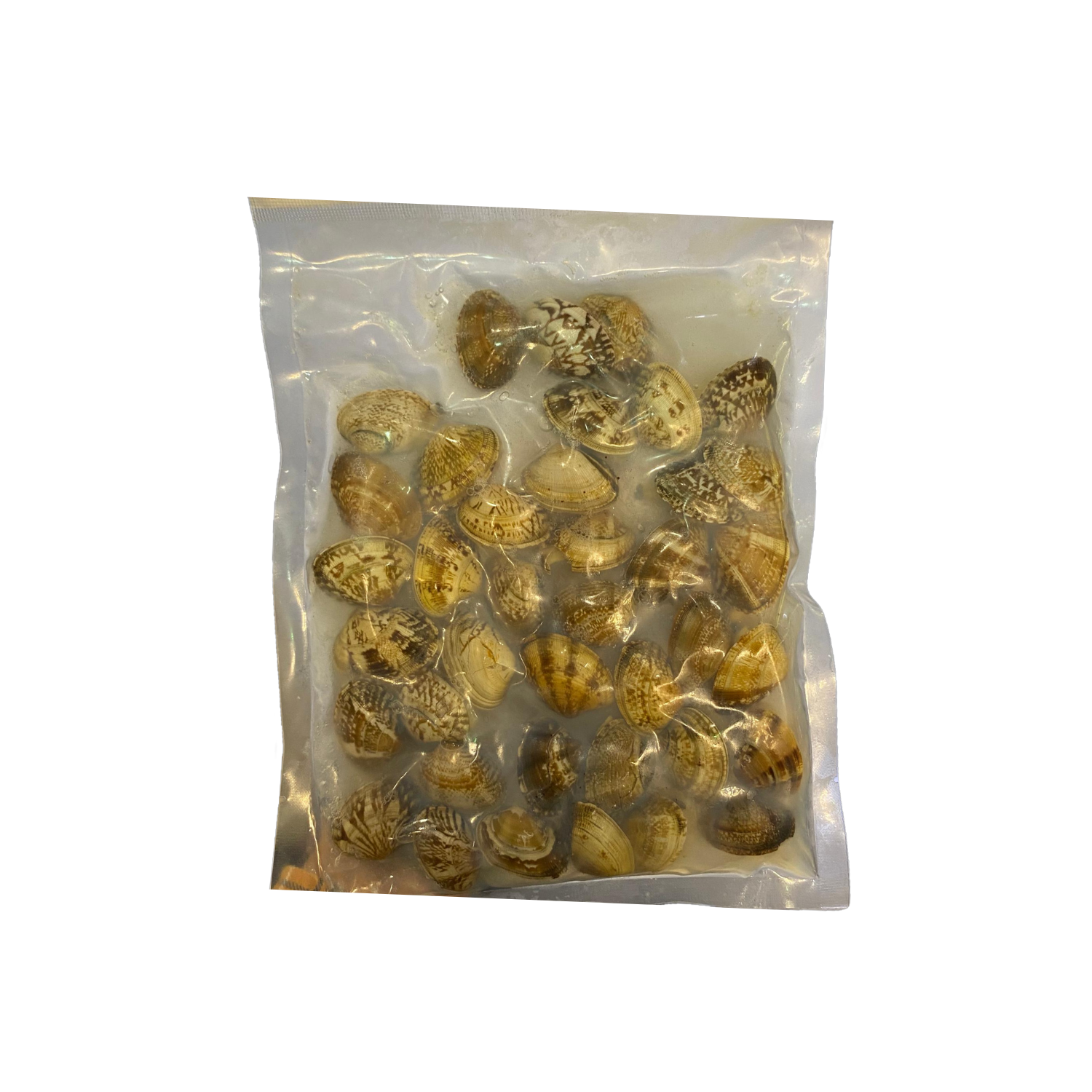 Frozen Short Neck Clam 500g +/