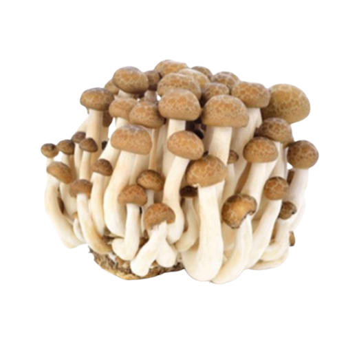 Chn White Shimeji Mushroom 125g