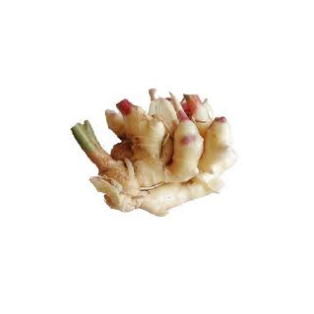 Mys Halia Muda 500g+/